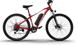 E Motorad T- Rex Air Hydro