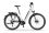 Ecobike LX300