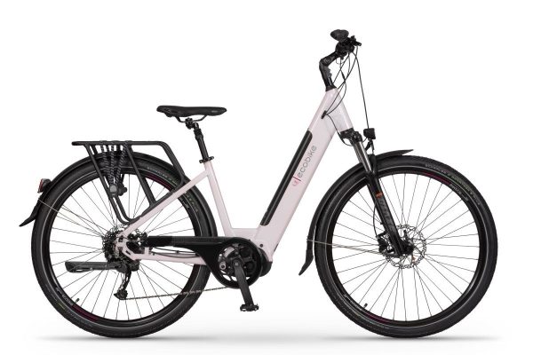 erp_trigger Ecobike LX300