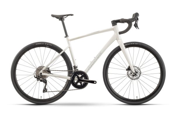 erp_trigger Raymon Scorena Pro