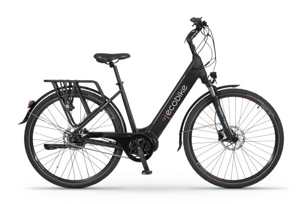 erp_trigger Ecobike LX