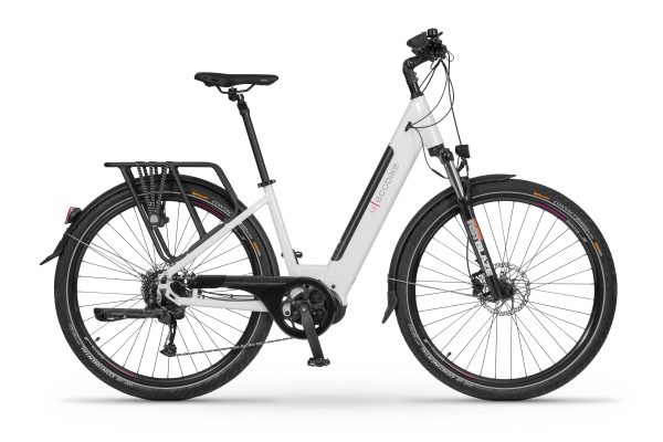 erp_trigger Ecobike LX300