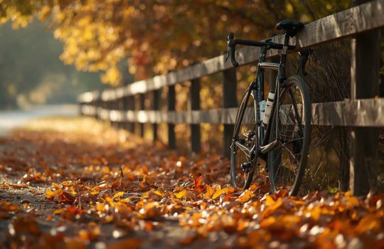 cómo preparar tu bicicleta para el otoño 01