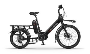 Ecobike Cargo