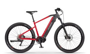 Ecobike RX500