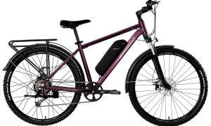 E Motorad T-Rex Pro 29